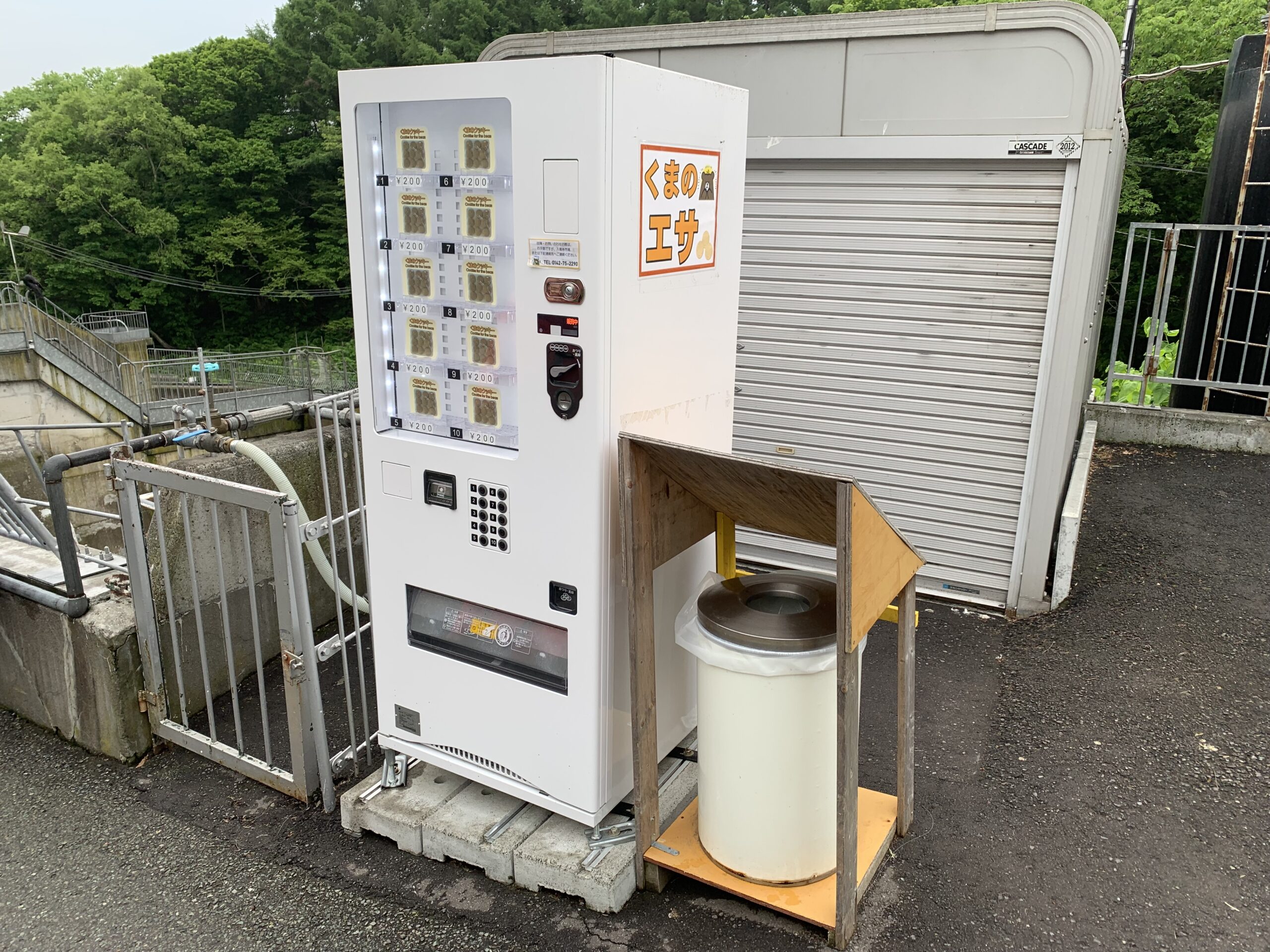 場内の熊のクッキー自動販売機